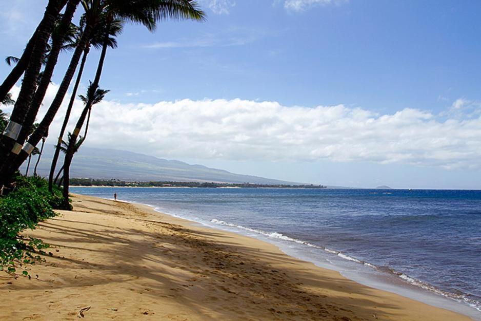 Kealia Resort 203 Kihei Buitenkant foto
