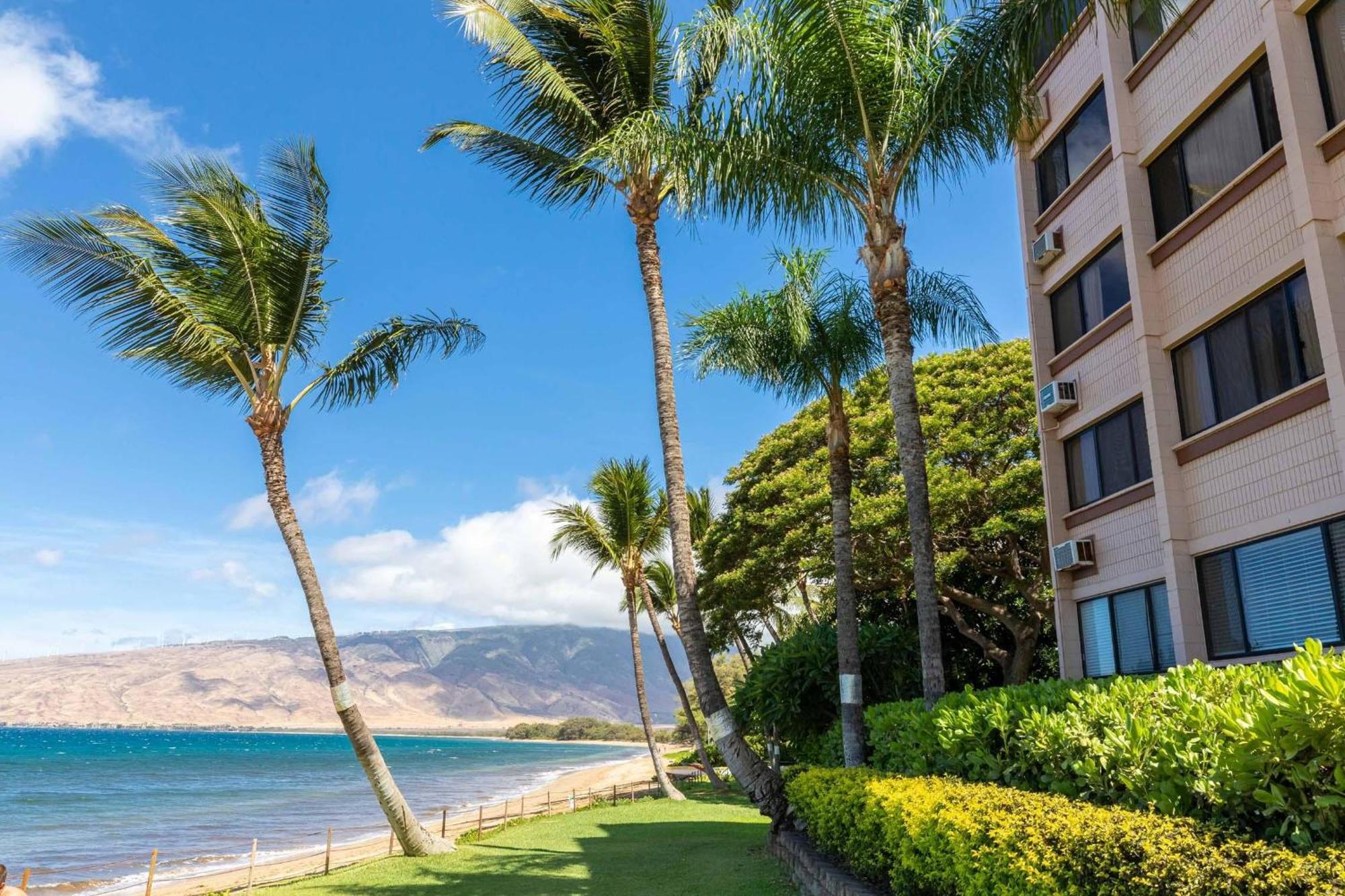Kealia Resort 203 Kihei Buitenkant foto