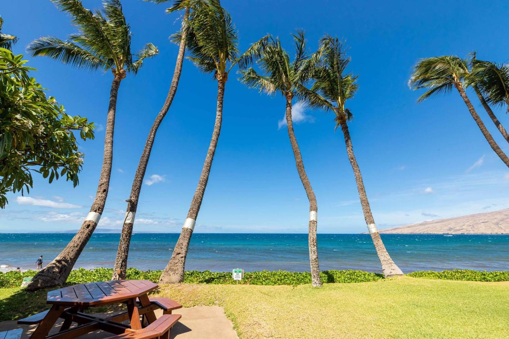 Kealia Resort 203 Kihei Buitenkant foto